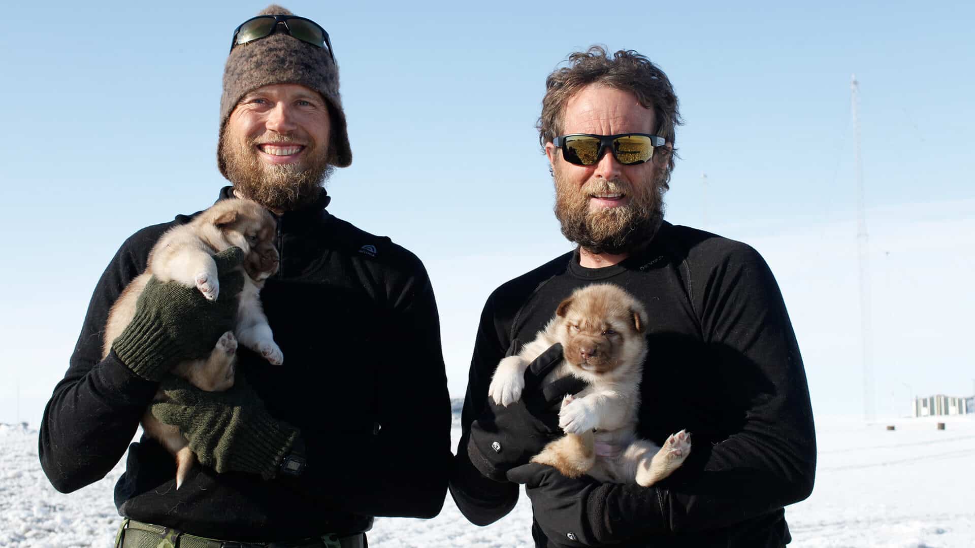 Vores hunde på 2. Thule til Thule ekspedition 38 2 Thule til Thule ekspedition foredrag, slut Station Nord, Jesper og Erik med hvalpene