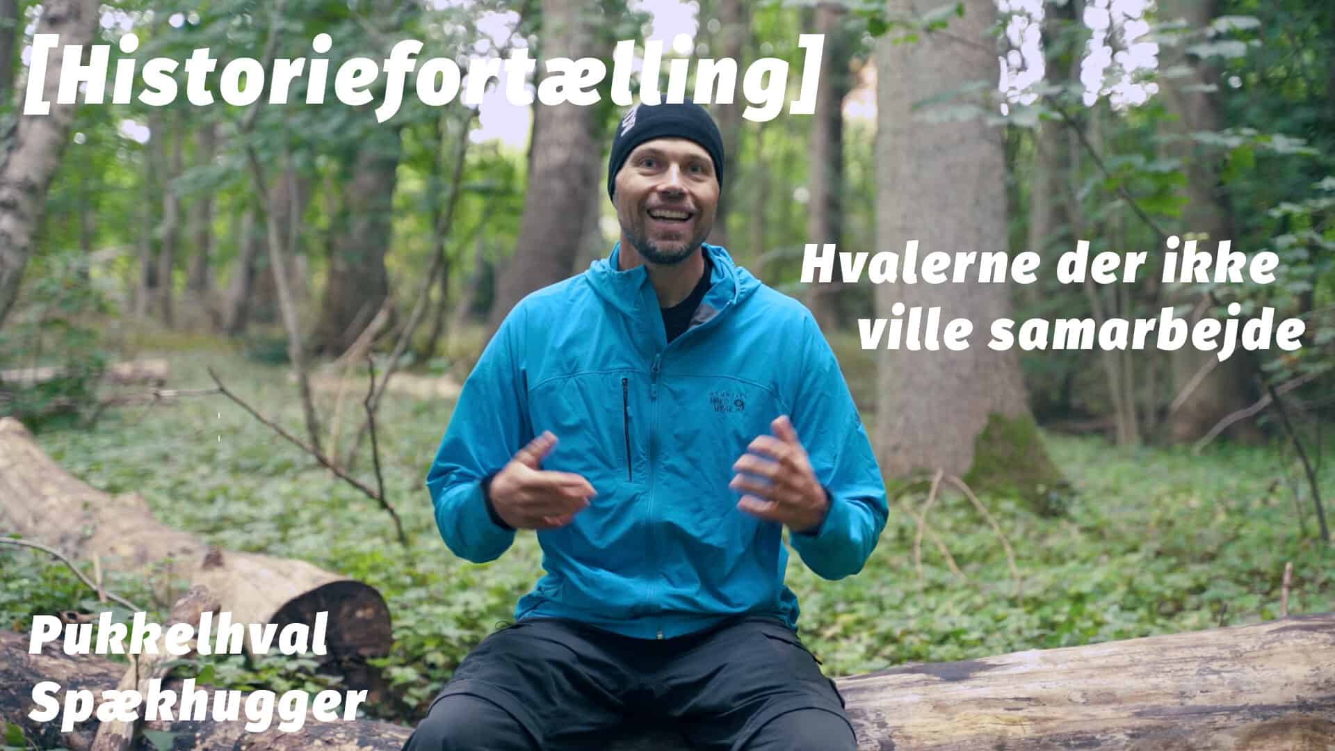 Hvalerne der ikke ville samarbejde [Historiefortælling] af kajakmand Erik B. Jørgensen