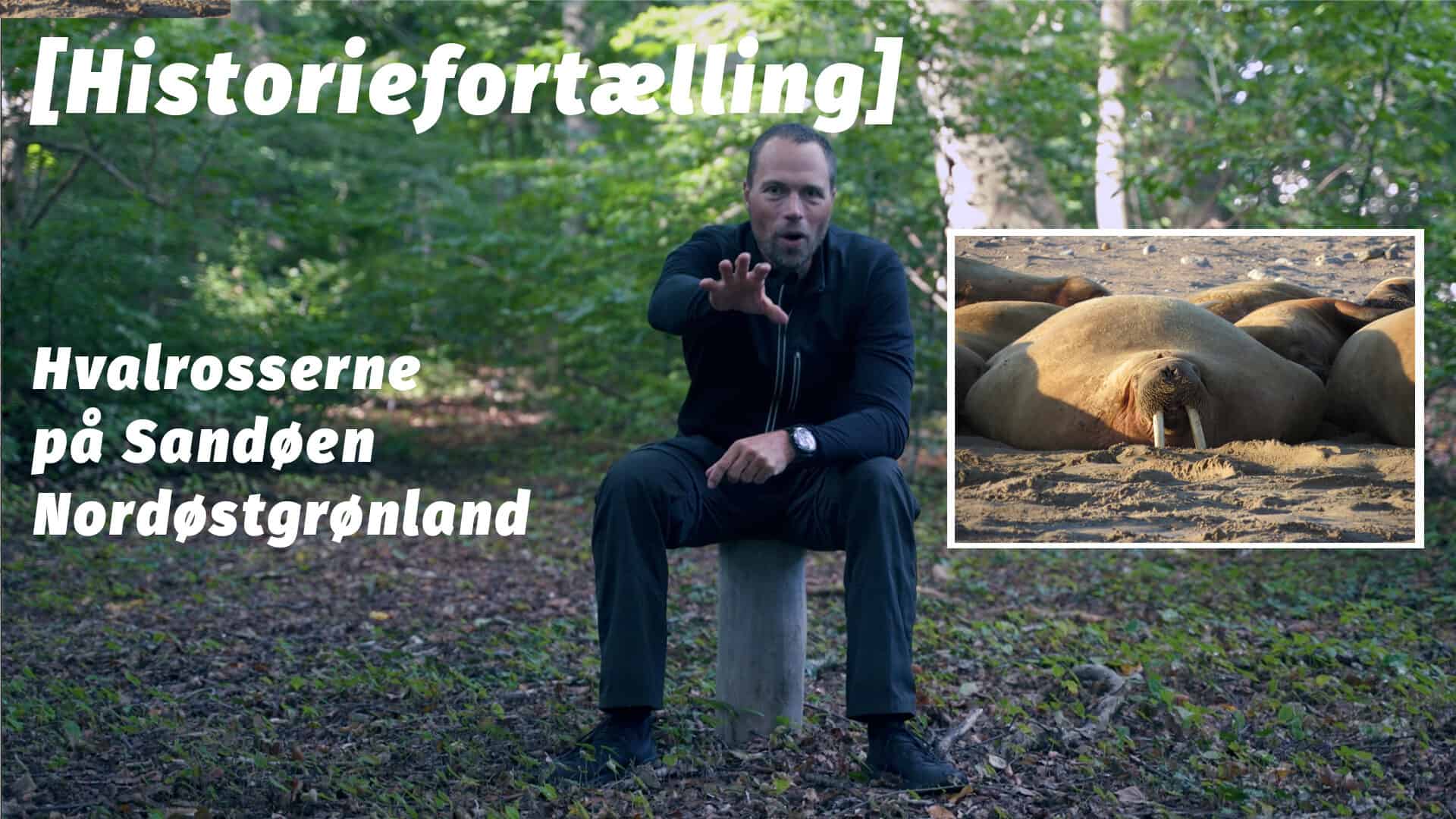 Hvalrosserne på Sandøen [Historiefortælling] af eventyrer og kajakmand Erik B. Jørgensen