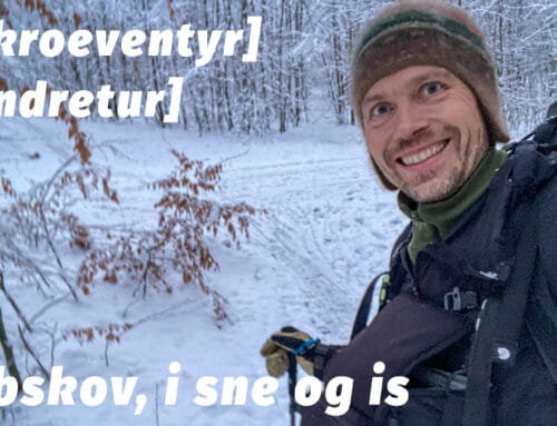 Vandretur i Gribskov, i sne og is, vinter [Mikroeventyr] (film)