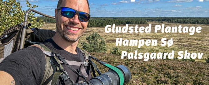 Vandretur ved Gludsted Plantage og Hampen Sø, Palsgaard Skov [Mikroeventyr] med eventyrer Erik B. Jørgensen YouTube film