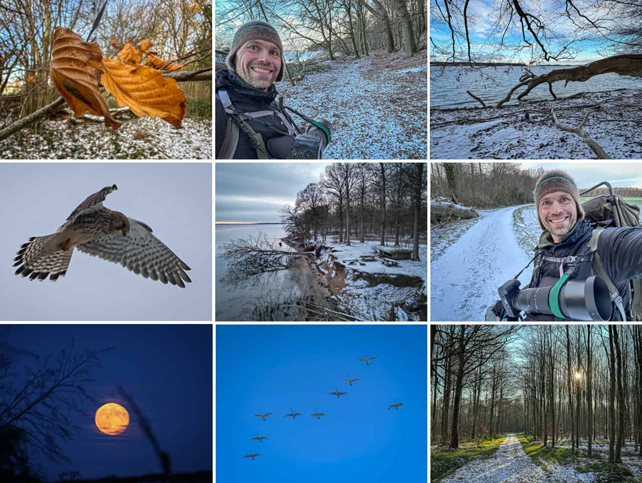 Stenderup Skovene, vandretur [Mikroeventyr] Collage af Erik B. Jørgensen