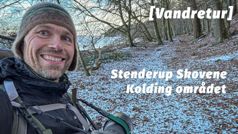 Stenderup Skovene, vandretur [Mikroeventyr] med vandre Erik B. Jørgensen