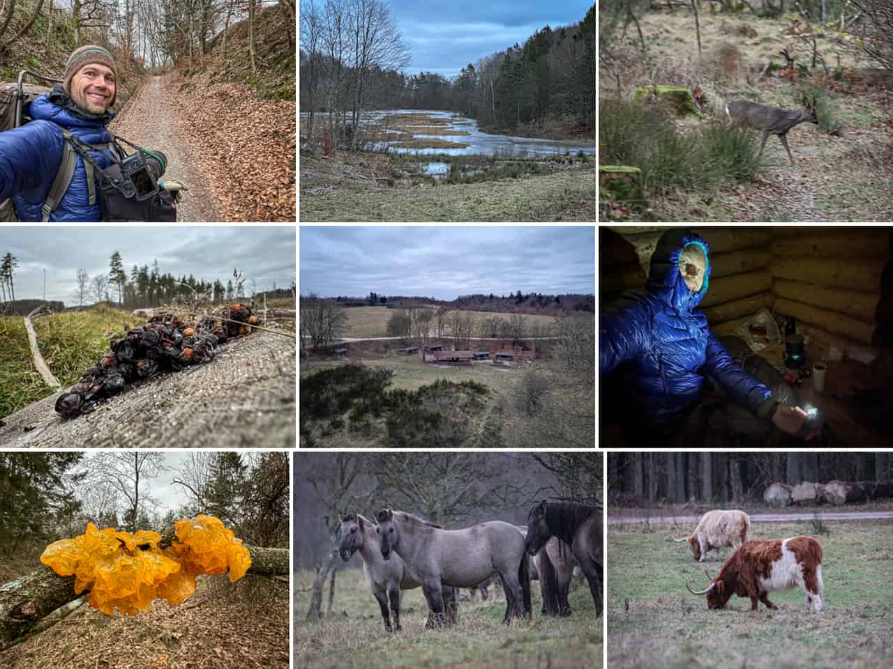 Vandretur, Hammer Bakker, Nordjylland [Mikroeventyr] collage fra turen af eventyrer Erik B. Jørgensen