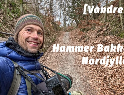 Vandretur, Hammer Bakker, Nordjylland [Mikroeventyr] (film)