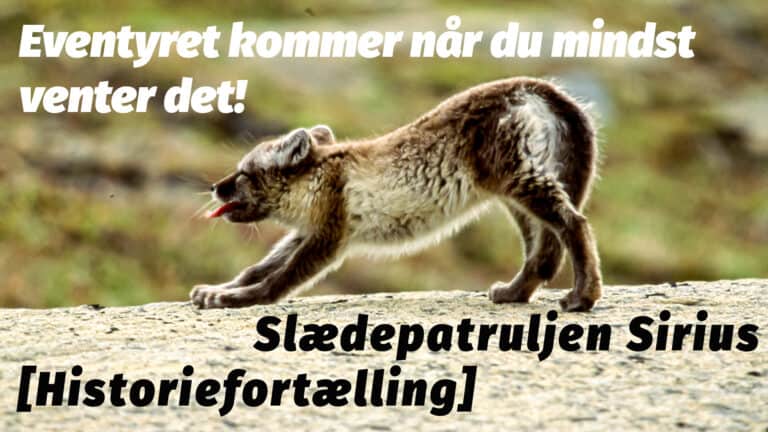 Mødet med polarræve unger, Slædepatruljen Sirius [Historiefortælling] af Erik B. Jørgensen