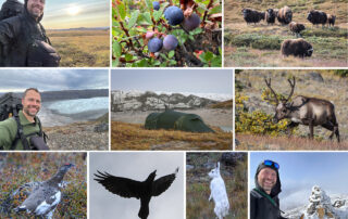 Vandretur omkring Aasivissuit, Kangerlussuaq, Grønland, collage af Erik B. Jørgensen