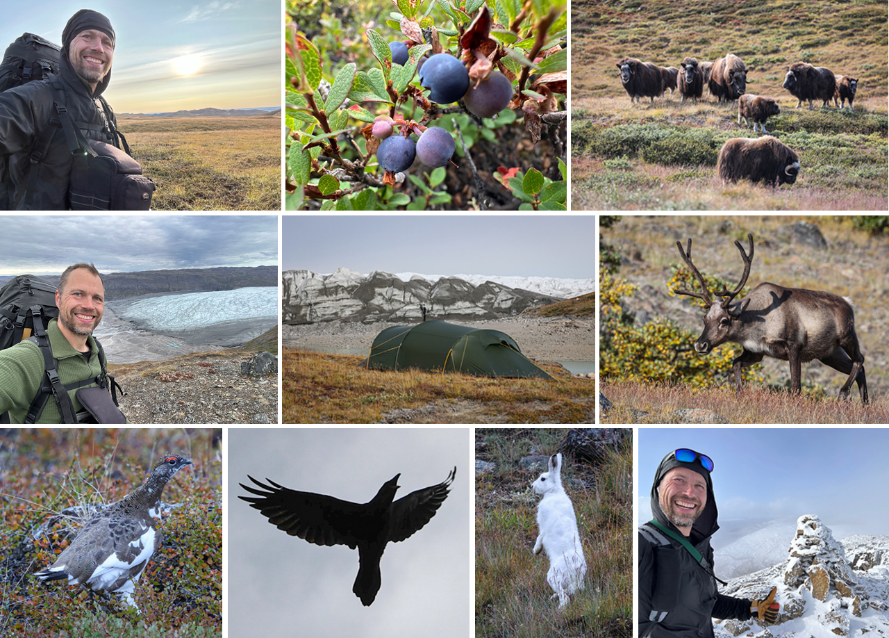 Vandretur omkring Aasivissuit, Kangerlussuaq, Grønland, collage af Erik B. Jørgensen