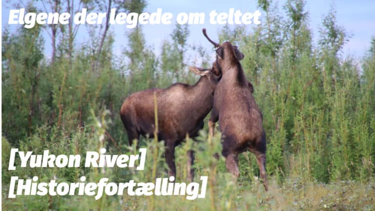 Elgene der legede om teltet, Yukon River [Historiefortælling] af Erik B. Jørgensen