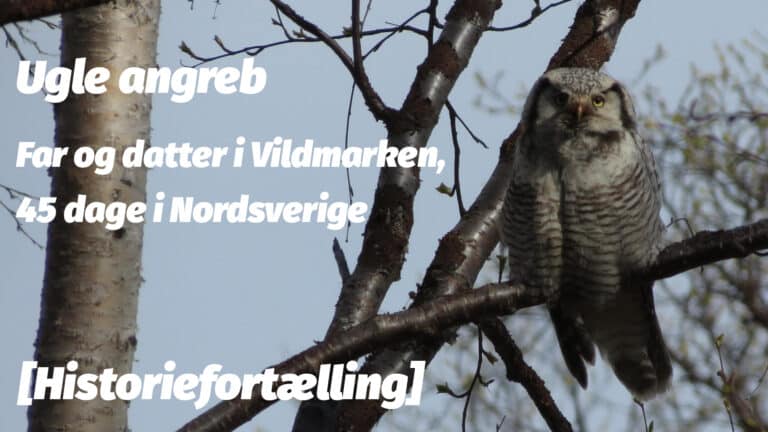 Ugle angreb under Far og datter tur [Historiefortælling] Erik B. Jørgensen