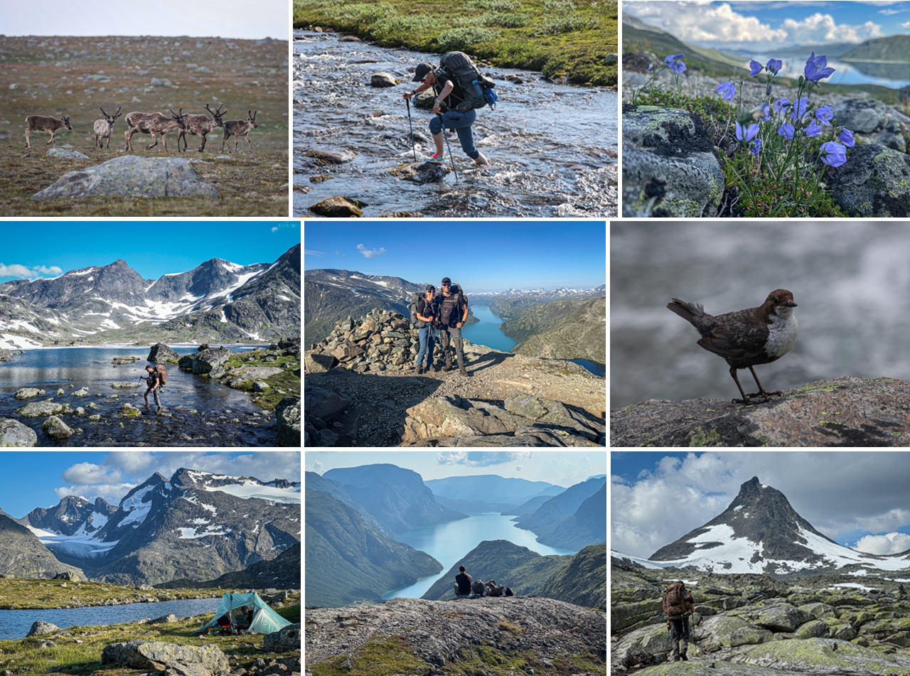 Vandretur i Jotunheimen Nationalpark, Bessegen og omegn, collage fra først del af turen af Erik B. Jørgensen