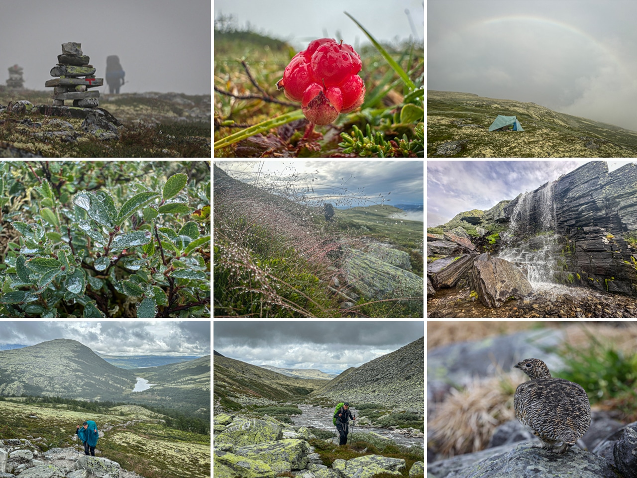 Vandretur i Rondane Nationalpark, Norge, collage første del af turen af Erik B. Jørgensen