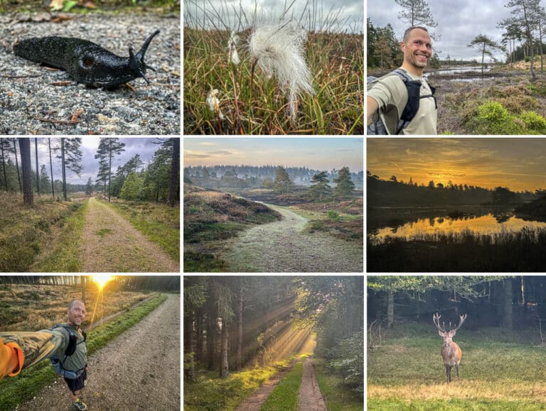 Løbe mikroeventyr, Bindeballe, Randbøl Hede, Frederikshåb Plantage [Mikroeventyr] Collage fra løbeturen, Erik B. Jørgensen