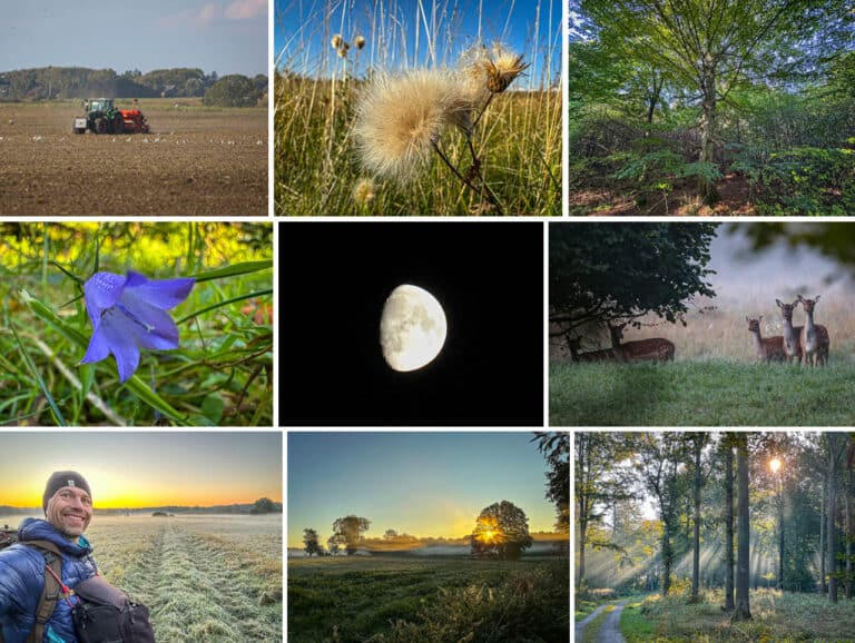 Vandretur, Falster, Horreby Lyng, Hannenov Skov og Ovstrup Skov [Mikroeventyr] collage fra turen, af Erik B. Jørgensen