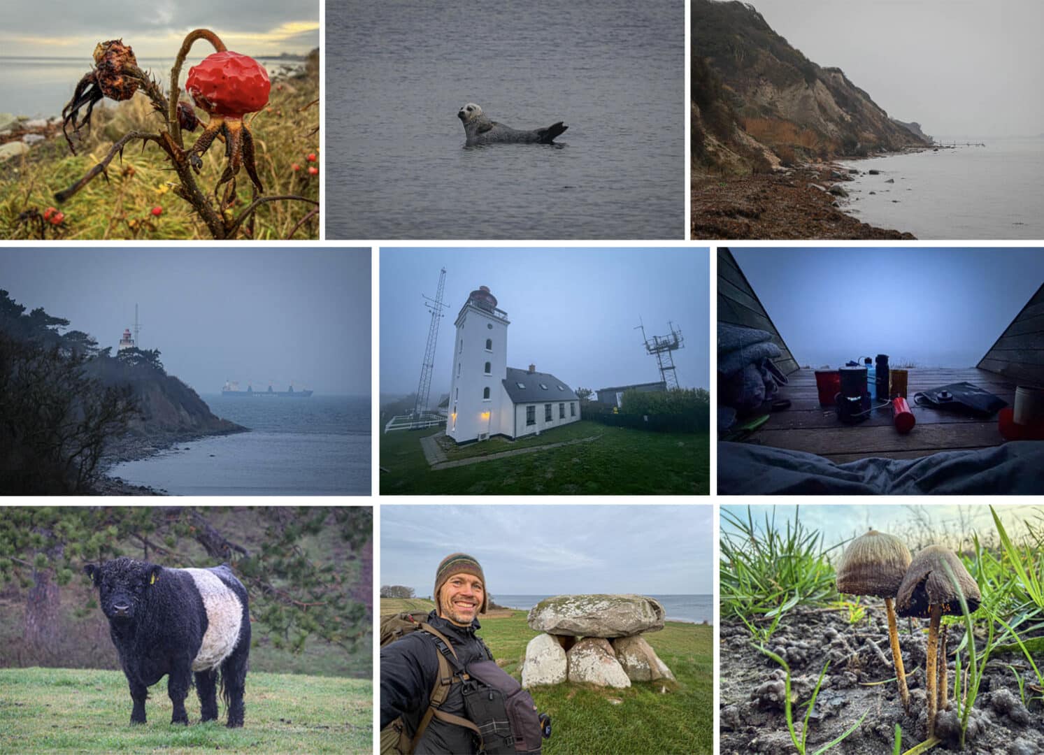 Røsnæs rundt, vandretur [Mikroeventyr] Collage Røsnæs af Erik B. Jørgensen