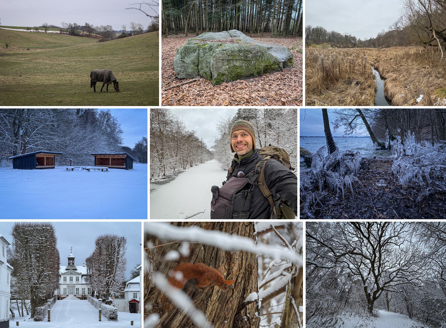 Mølleåstien, vandretur [Mikroeventyr] Collage 1 af Erik B. Jørgensen