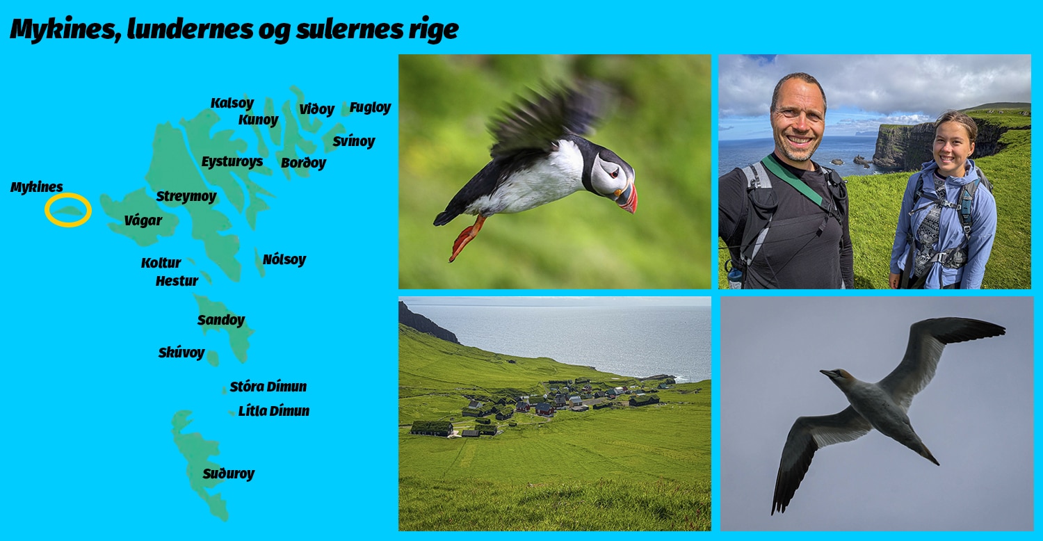 Mykines, lundernes og sulernes rige af Erik B. Jørgensen