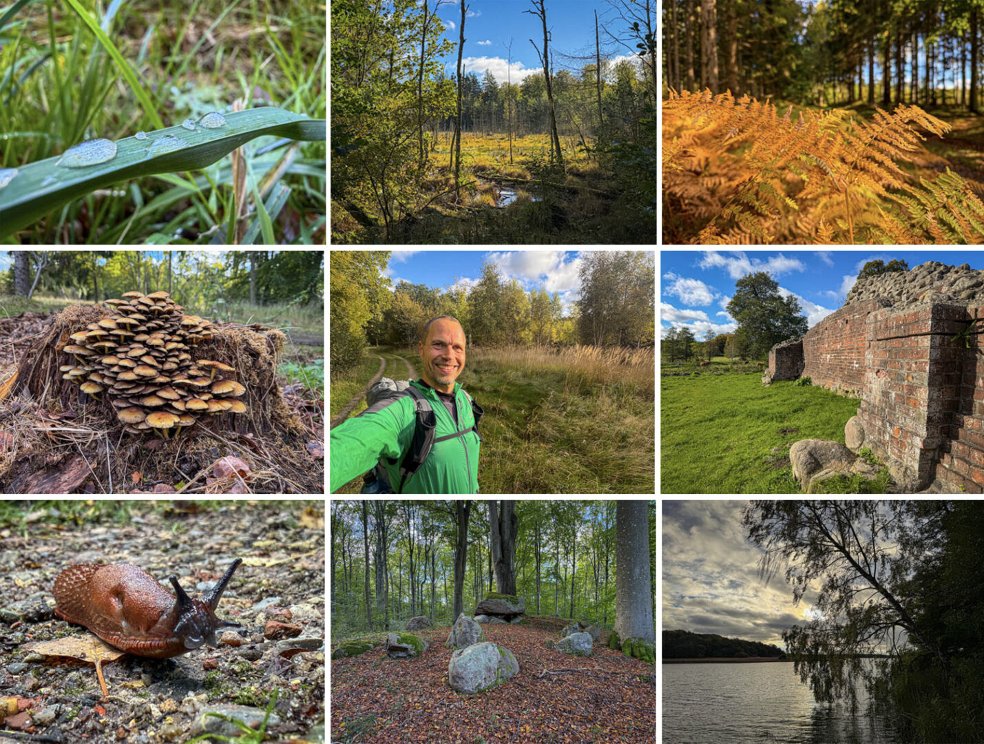 Gurre Sø og Klosterris Hegn, løb [Mikroeventyr] collage af Erik B. Jørgensen