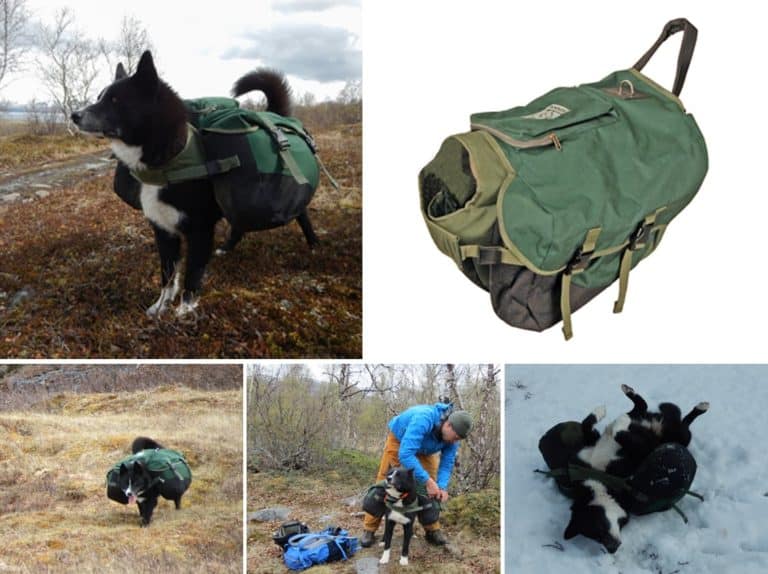 Anmeldelse Rygsæk til hund (kløv)