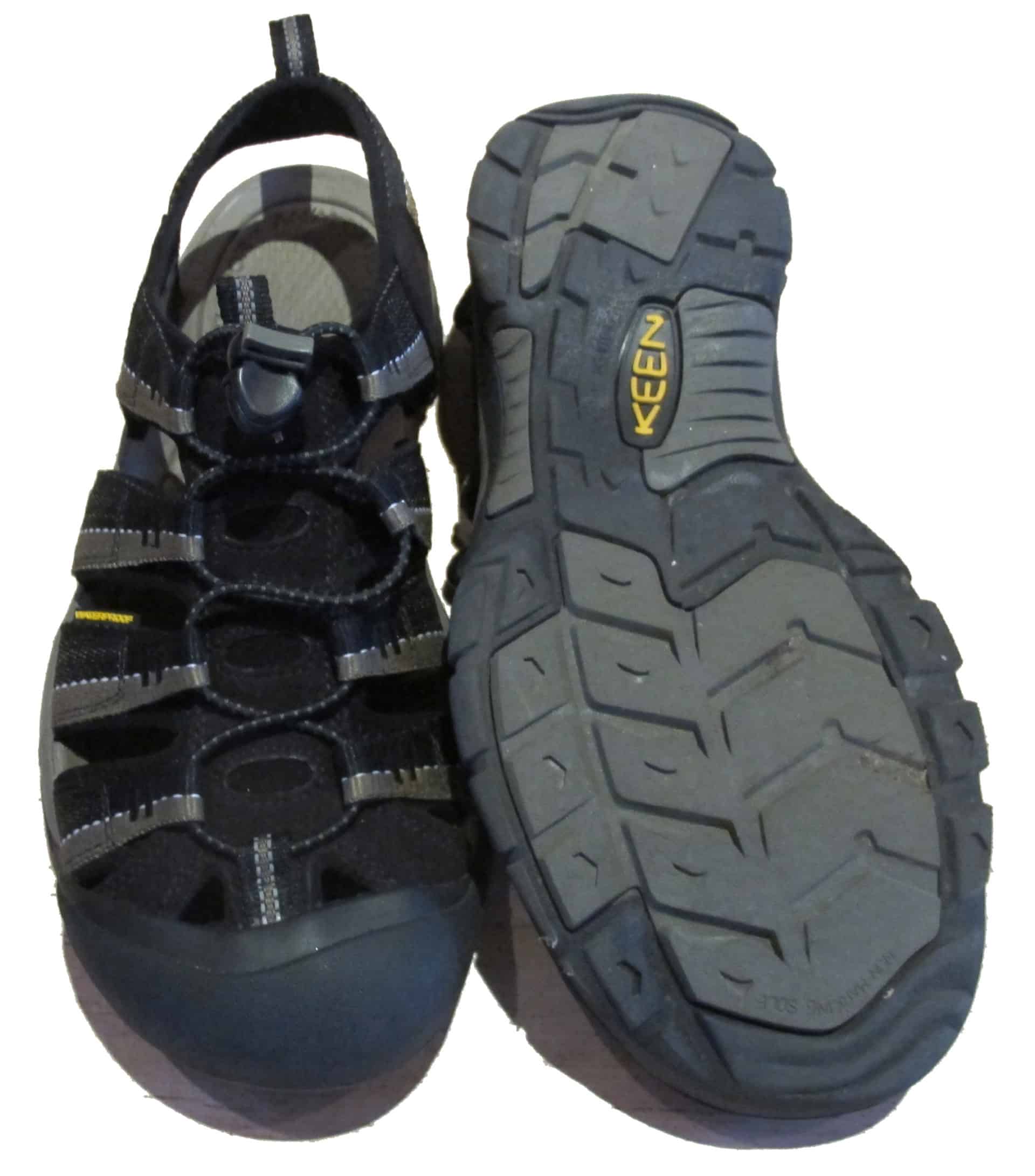keen newport h2 bison