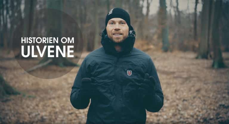 Historiefortælling Ulvene der ikke var der - [Historiefortælling] Ulvene der ikke var der 6