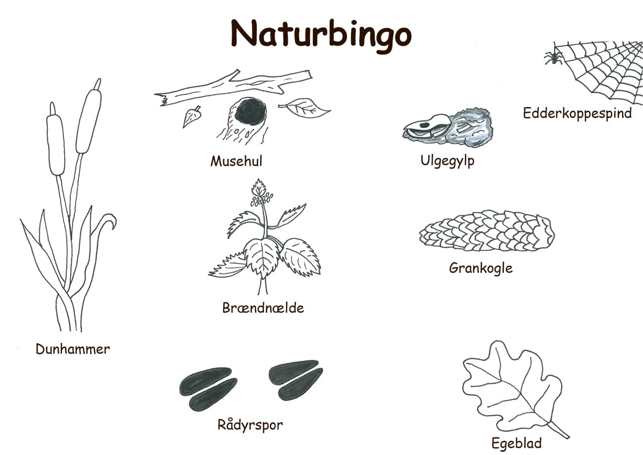 Naturbingo plade, Inspiration til aktivitet med børn i naturen - Erik B. Jørgensen
