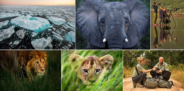 [Podcasts] Mød eventyreren Uri Golman, naturfotograf, med Erik B. Jørgensen