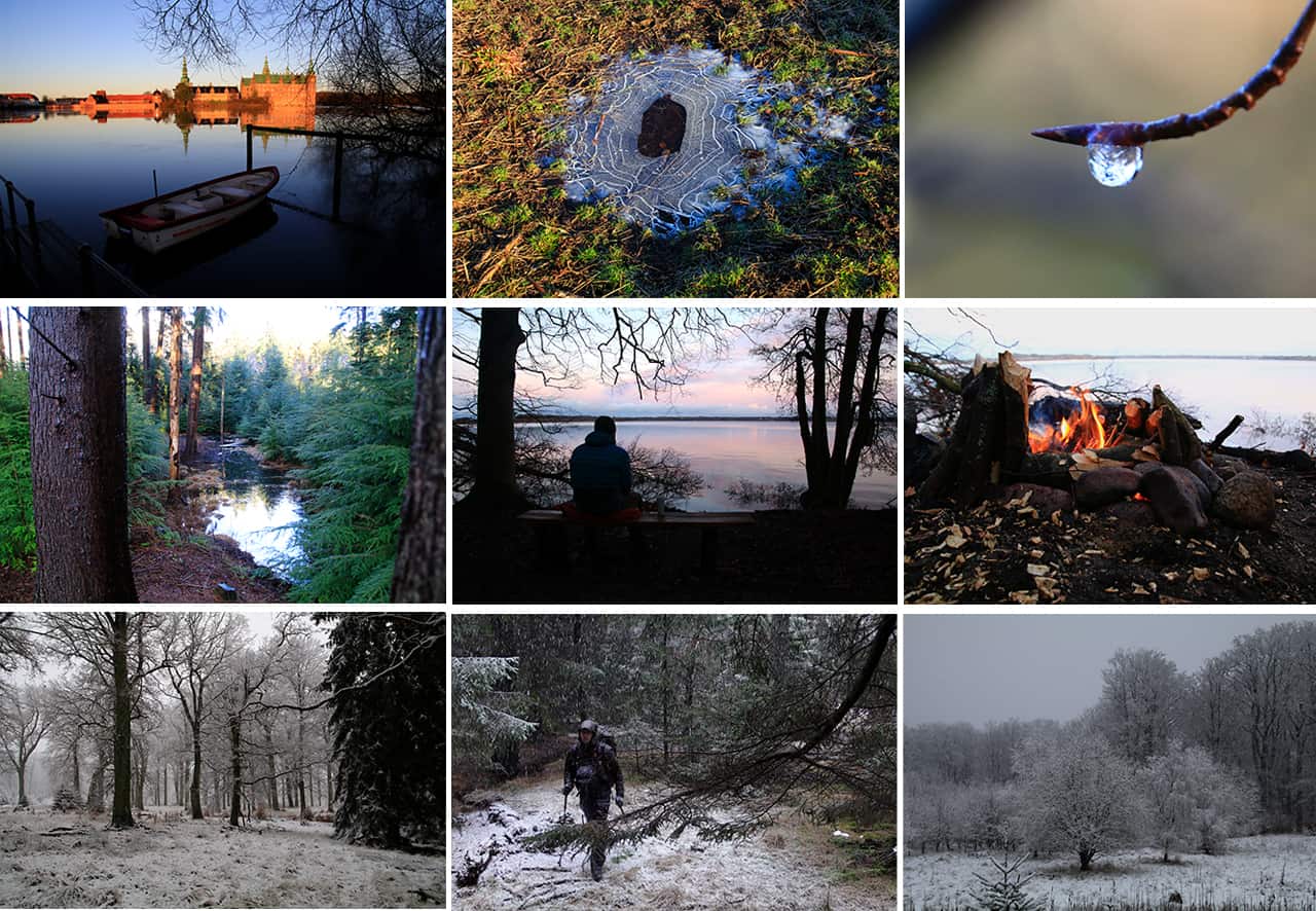 Collage af billeder, fra Vandretur i Gribskov, på kompaskurs [Mikroeventyr]