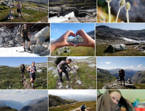 Vandretur på Hardangervidda, Norge, med barn, Hallingskred til Haugastøl