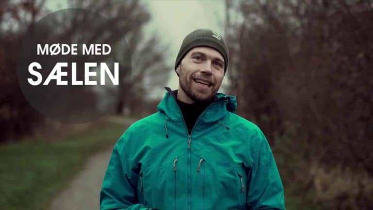 historiefortaelling moede med saelen - Møde med sælen, havkajak [Historiefortælling] (film) 6