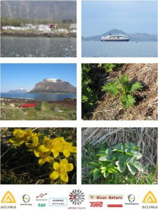 Morgen rutiner morgen rutiner - Morgen rutiner 1