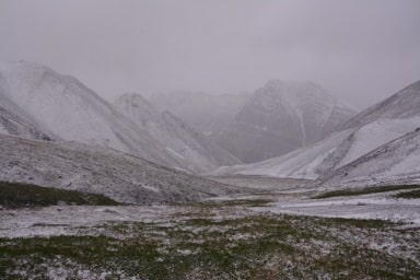 sommer, Alaska, sne, frost