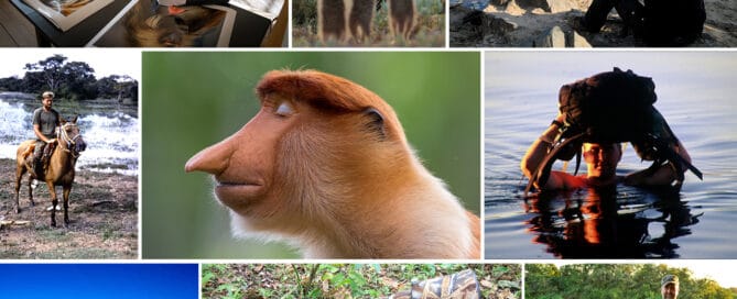 dyrefotograf, zoolog, pattedyrforsker og forfatter Mogens Trolle, collage af ham i aktion rundt i verden og et par dyreportrætter
