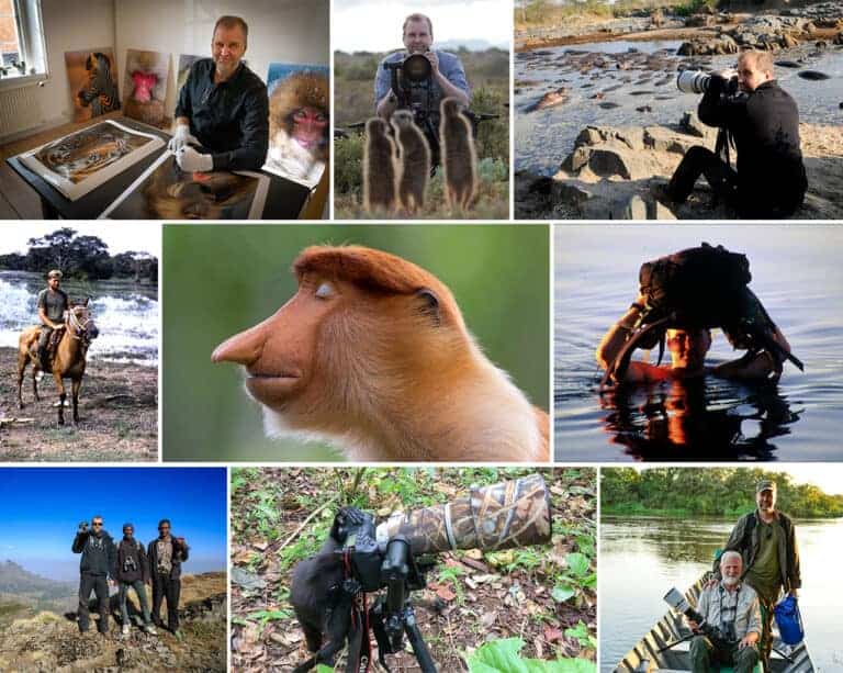 dyrefotograf, zoolog, pattedyrforsker og forfatter Mogens Trolle, collage af ham i aktion rundt i verden og et par dyreportrætter