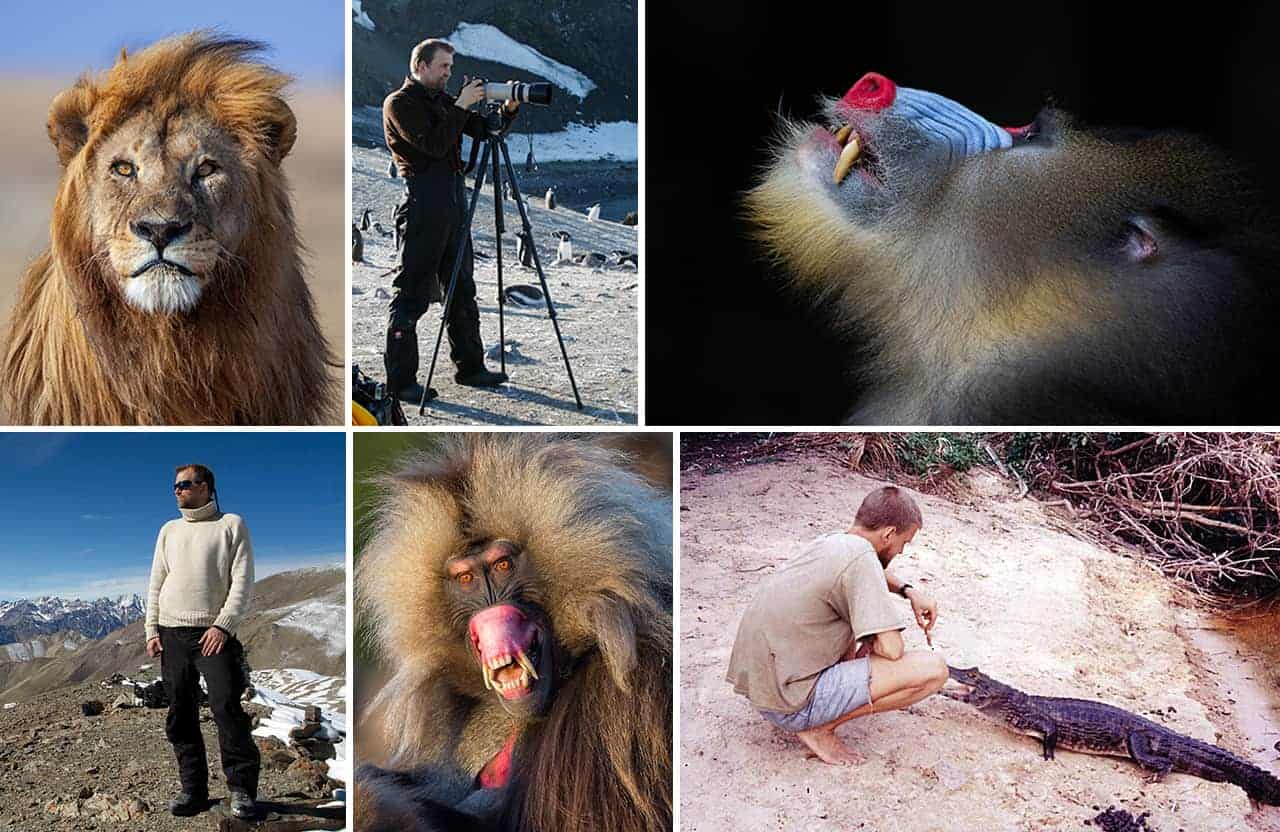 Mogens Trolle, collage af ham i aktion rundt i verden og nogle af hans dyreportrætter