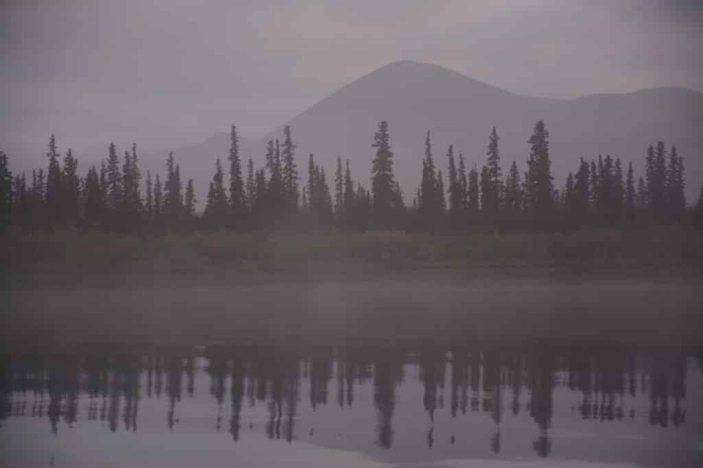Alaska's natur fra sin bedste side